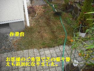 芝生・施工前の画像